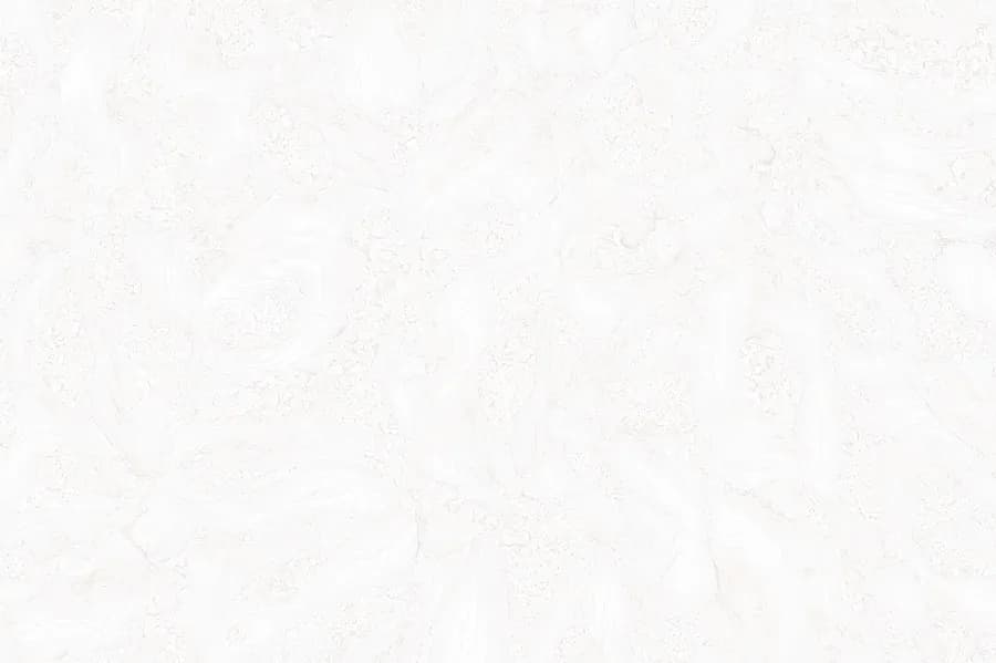289-LT-(01)