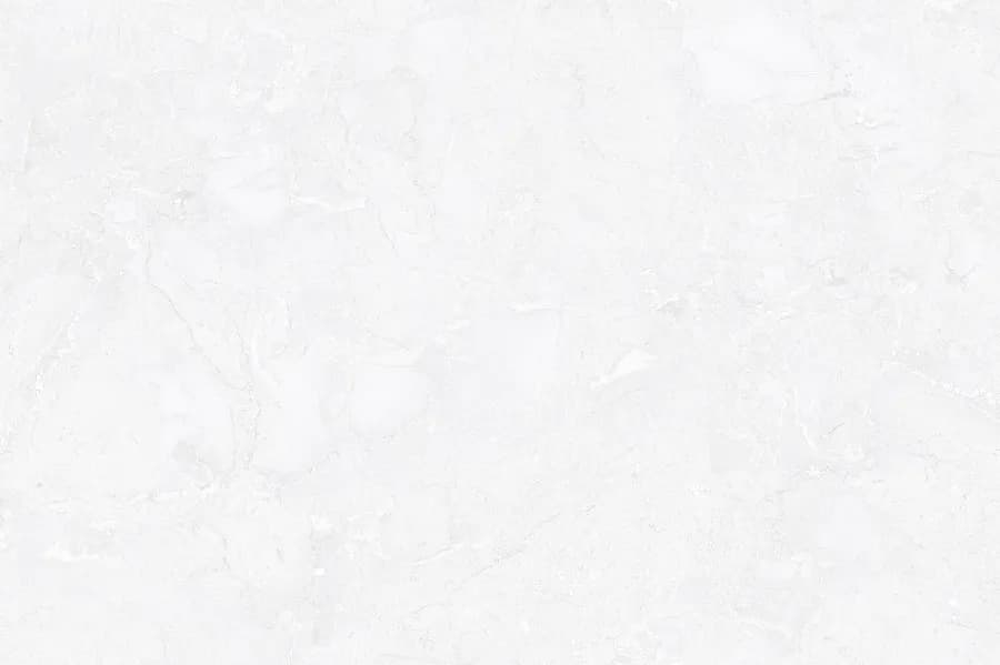 1573-LT-(01)
