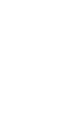 600 x 1200 tile